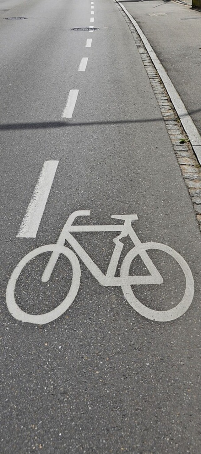 Fahrradschutzstreifen wie dieser machen das Radeln sicherer.  | Foto: Laura Lehmann
