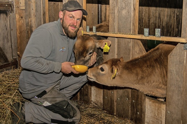 Marc Riether aus Altdorf mit zwei jungen Jersey-Rindern  | Foto: Olaf Michel
