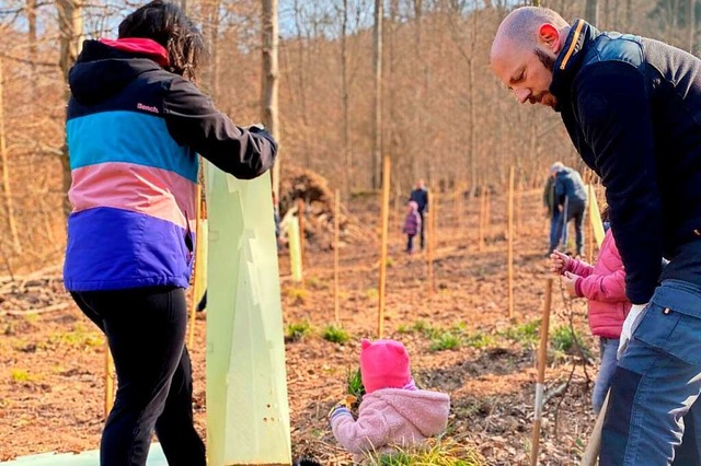 Im Babywald haben Eltern und Kinder insgesamt 400 Bume gepflanzt.  | Foto: Stadt Herbolzheim