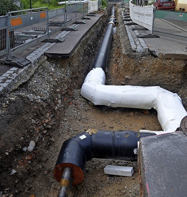 Ein Nahwrmenetz wie in Elzach knnte auch in Herrischried entstehen.  | Foto: Nikolaus Bayer