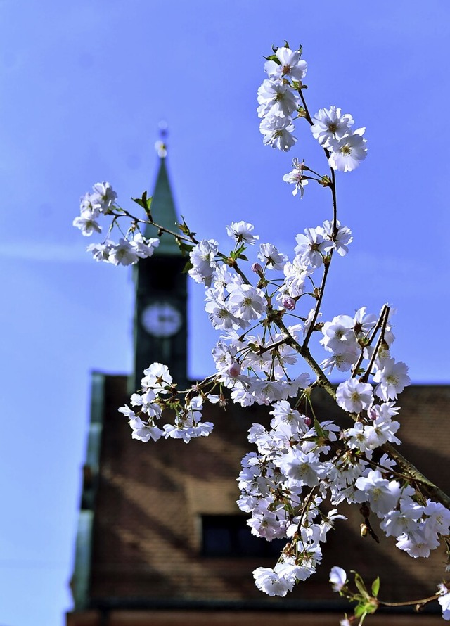 Blten verzaubern am Sonntag die Stadt.   | Foto: Wolfgang Knstle