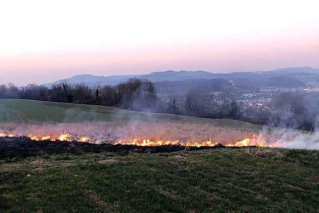 Das Feuer auf dem Tllinger  | Foto: Freiwillige Feuerwehr Lrrach