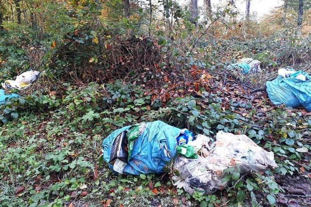 Alte Müllkippen im Schwarzwald sind auch heute noch ein Problem