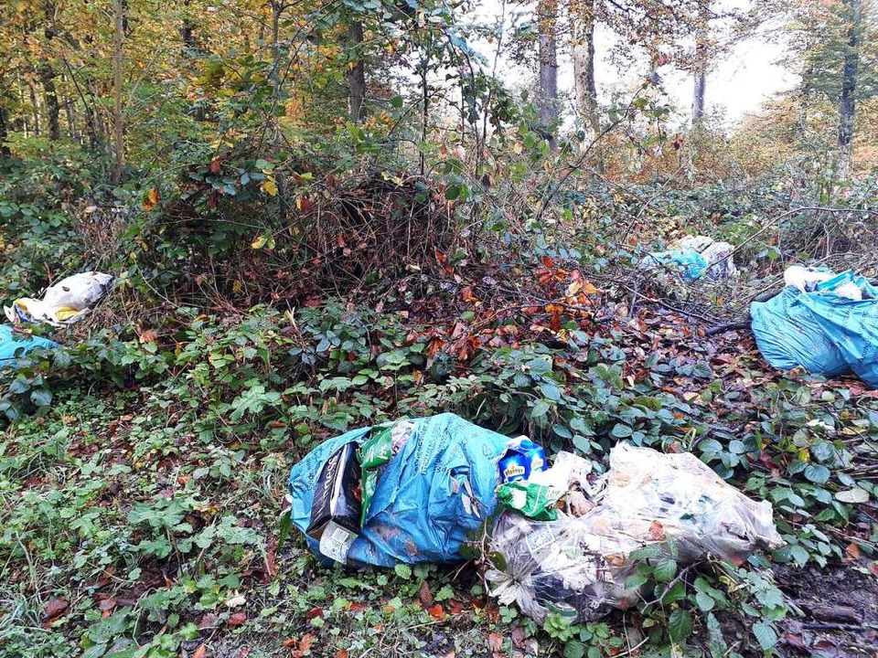 Wild abgelagerter Müll ist auch heute noch ein Problem (Symbolbild)  | Foto: Elena Borchers