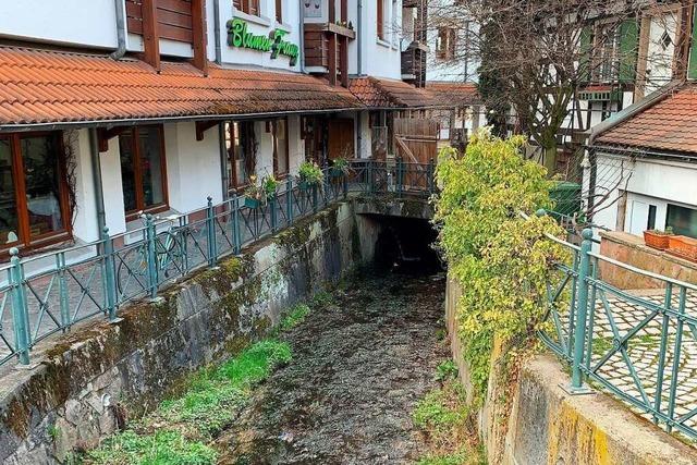 Millionen nötig für den Hochwasserschutz in Offenburger Ortsteil