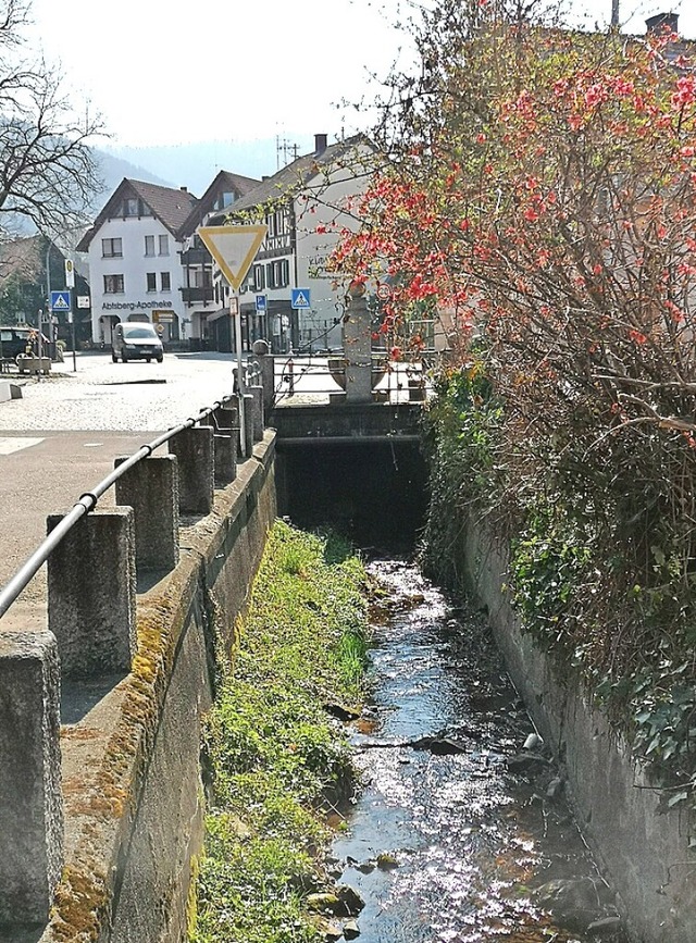 Beim Goethe-Brunnen kommt der Talbach wieder ans Licht.  | Foto: Ralf Burgmaier