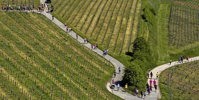 Mehr oder weniger ambitioniert geht&#8...ch die  Rebberge des Markgrflerlands.  | Foto: Matthias Weniger