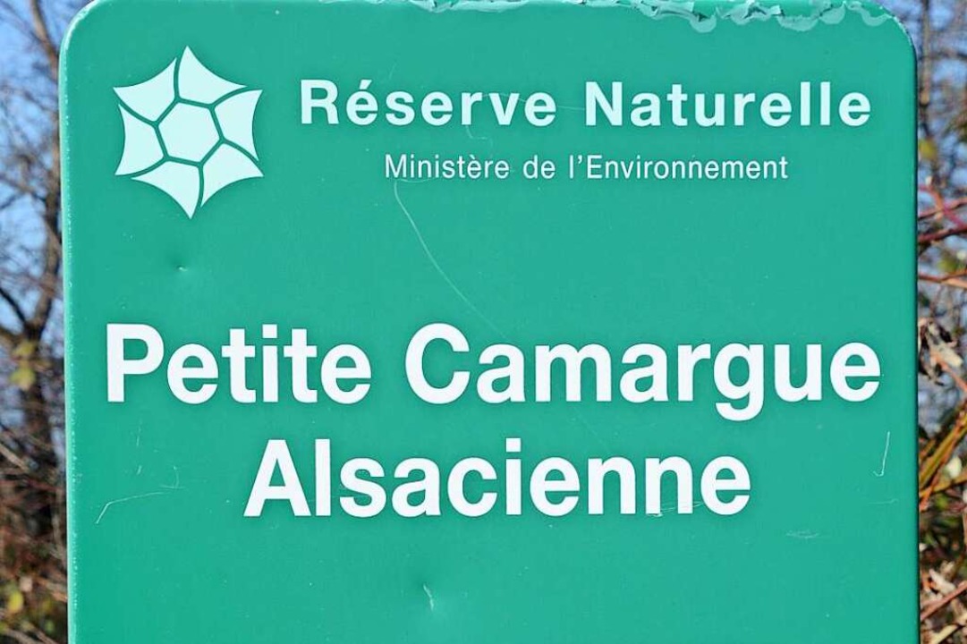 Vor 40 Jahren wurde die Petite Camargue Alsacienne Naturschutzgebiet.  | Foto: Annette Mahro