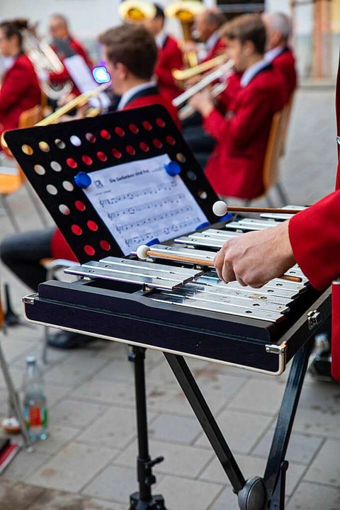 Die Musiker spielen für die Opfer des Ukraine-Kriegs.  | Foto: Hubert Gemmert