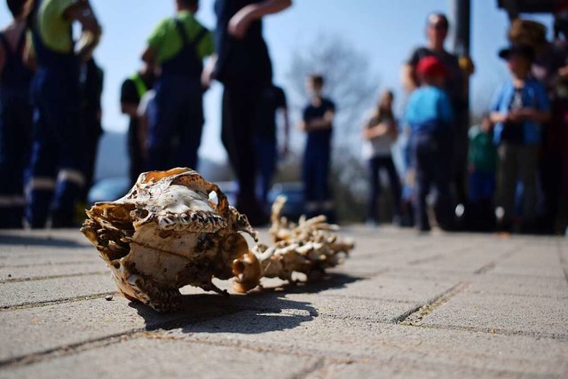 Wer bist du gewesen? Ein Skelettfund fachte die Phantasie der Mllsammler an.  | Foto: Michael Krug