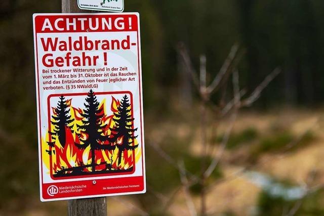 Polizei entdeckt brennenden Baum zwischen Tegernau und Gresgen