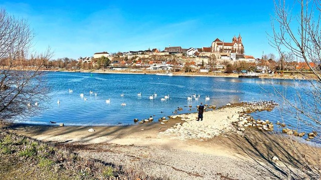 Blick von der Rheininsel auf Breisach  | Foto: Peter Stahl