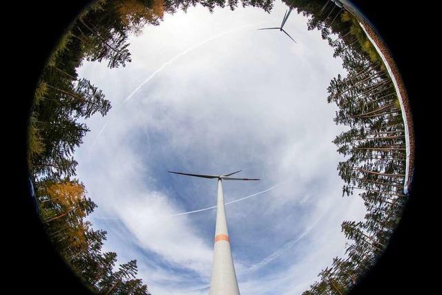 Der Windpark am Zeller Blauen wird frühestens 2025 gebaut