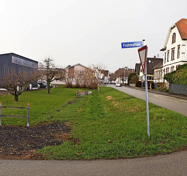 Auf diesem Grnstreifen in Tutschfelden sollen drei Huser entstehen.  | Foto: Michael Haberer