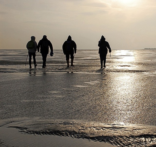 Wanderung im Wattenmeer  | Foto: Andreas Heimann