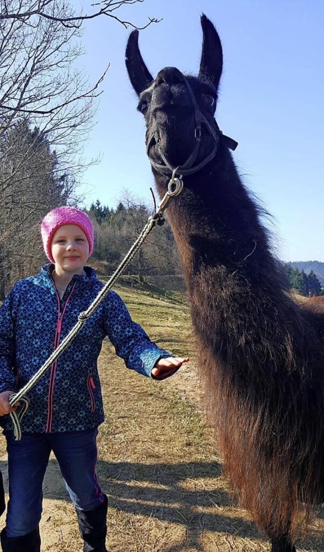 Zisch-Reporterin Nora Soukenik mit dem Lama Late Mar.  | Foto: privat