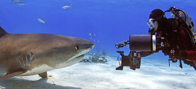 Der Unterwasserfotograf David Hettich gemeinsam mit einem Hai  | Foto: privat