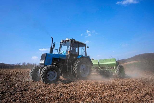Ukraine und Russland beim Weizen weniger bedeutend für Baden-Württemberg