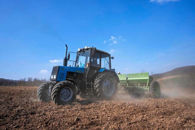 Auf die Ukraine und Russland entfllt ...weltweiten Weizen- und Gerstenexporte.  | Foto: Nariman El-Mofty (dpa)