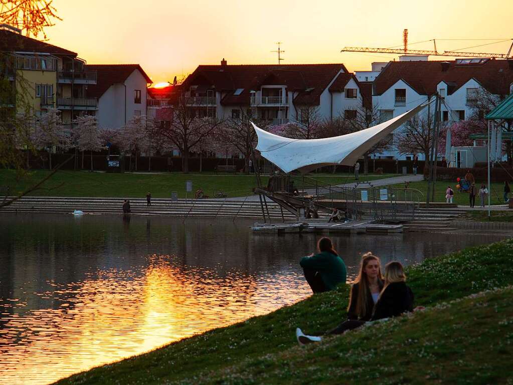 Sonne, Kirschblten, Blumenmeer – in Freiburg ist Frhling.