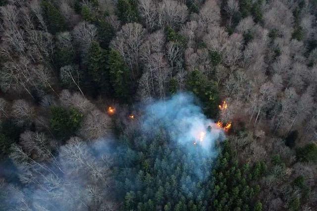 Lagerfeuer löst Waldbrand in Buchenbach aus
