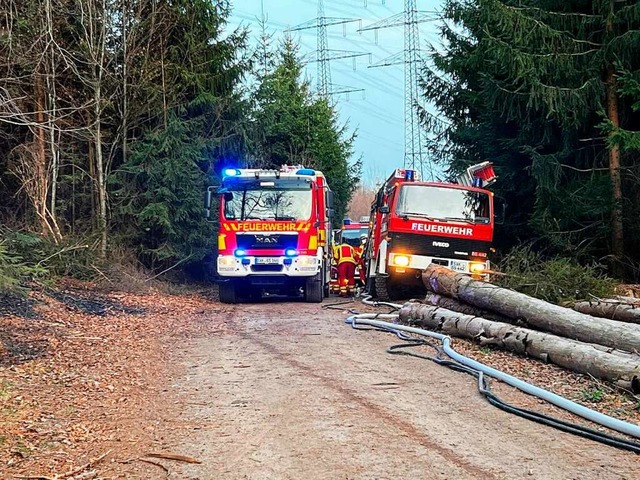 Die Einsatzfahrzeuge der Feuerwehr Bad Sckingen im Rippolinger Wald.  | Foto: Feuerwehr Bad Sckingen