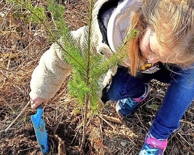 Auch Kinder waren beim Pflanzen aktiv.   | Foto:  