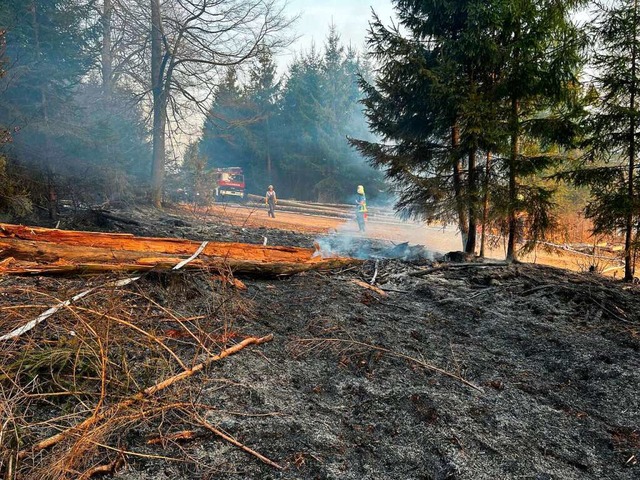 Zeitgleich war die Feuerwehr Bad Scki...te dort eine grere Flche gebrannt.   | Foto: Feuerwehr Bad Sckingen