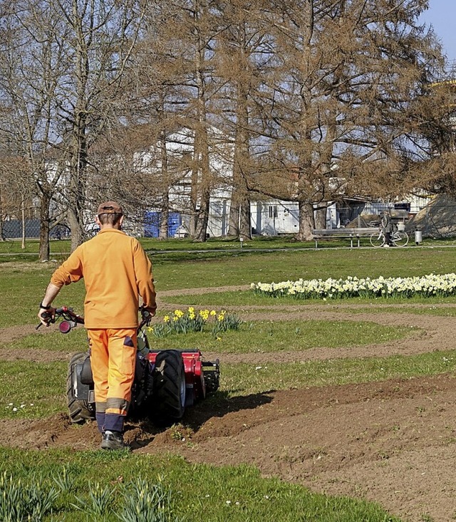 Im Herbert-King-Park entstehen bltenr...n mit regionalen Krutern und Grsern.  | Foto: Wamer Stadt Rheinfelden