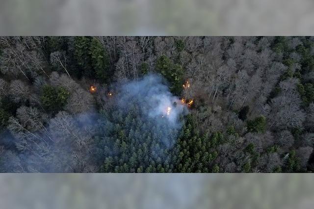 Lagerfeuer löst wohl Waldbrand aus