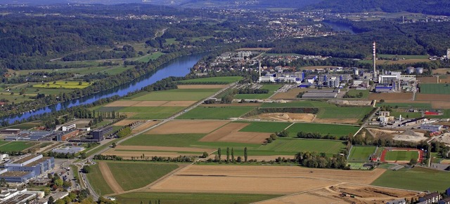 Das Sisslerfeld liegt direkt am Rhein....en speziellen Charakter der Uferzone.   | Foto: Erich Meyer