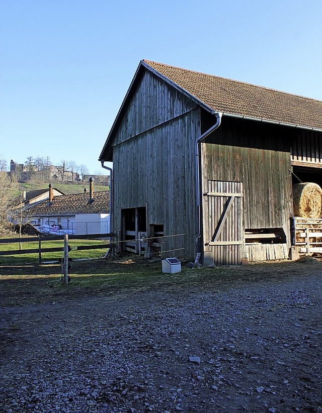 In drei Bauabschnitten saniert das Lan...en die Stallungen der Domne Hochburg.  | Foto: Annika Sindlinger