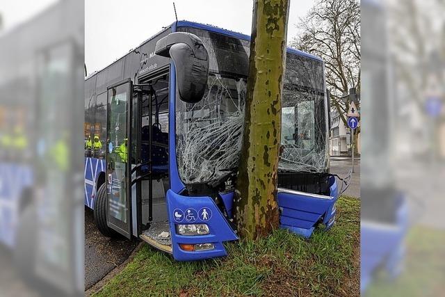 Bus prallt gegen einen Baum