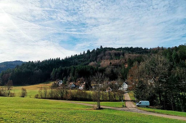 Die Umleitung zur Schwarzenbergstrae ... einen zum Teil recht steilen Waldweg.  | Foto: Patrik Mller