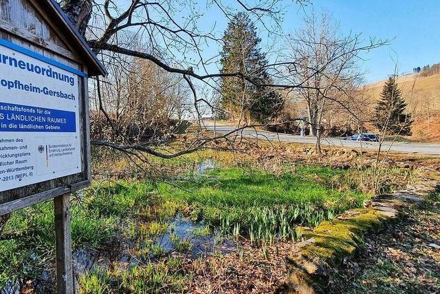 Gersbach will seinen bedrohten Biotopweiher retten