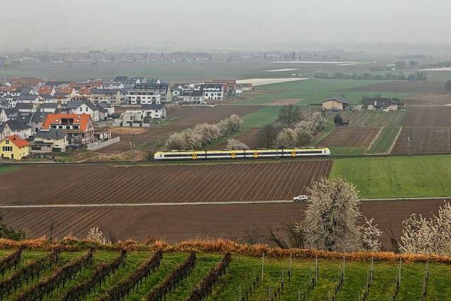 Die Stadt Endingen plant knftige Wohn...tere Anbindung an die L 113 entstehen.  | Foto: Martin Wendel