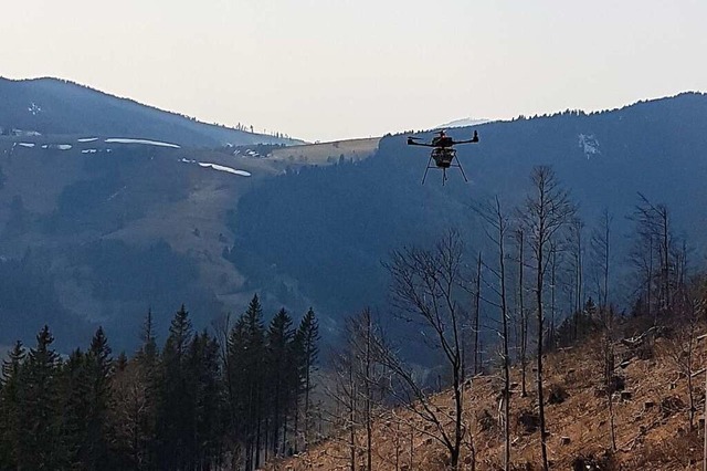 Drohnensaat im Prger Gletscherkessel  | Foto: Quelle: Landratsamt Lrrach