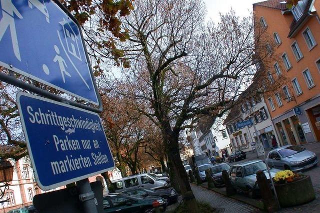 SPD und Grne fordern schnellstmglich Schritttempo in der Schopfheimer Hauptstrae