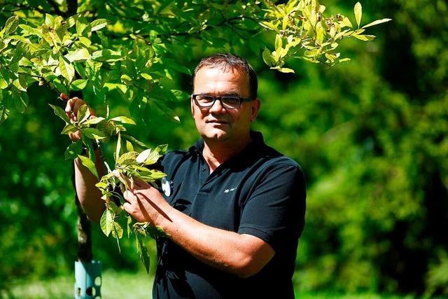 Jürgen Sedler ist der Mann mit dem grünen Daumen im Europa-Park