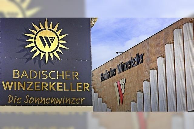 Der Badische Winzerkeller in Breisach sortiert 1000 Weine aus