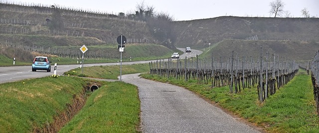 Der Weg soll zwischen Oberrotweil und Bischoffingen gebaut werden.  | Foto: Thomas Rhenisch