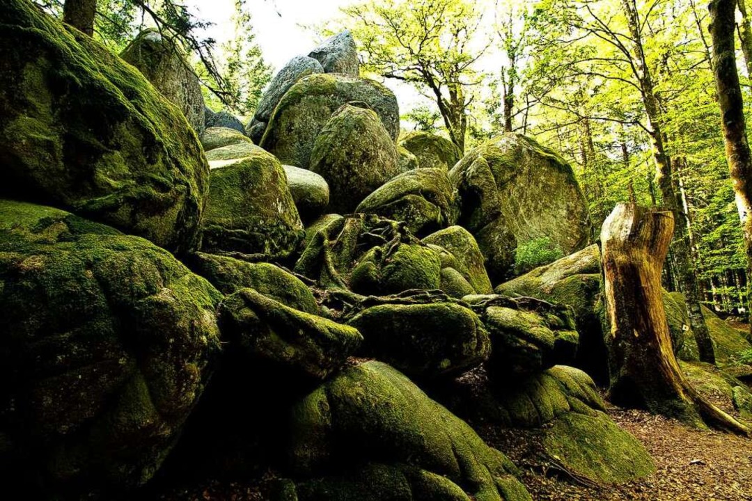 Mystisch: die Gntherfelsen bei Furtwangen  | Foto: Burkhard Riegels