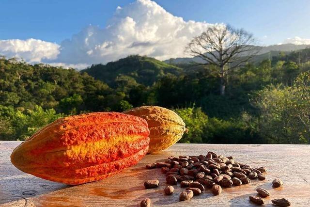 Freiburger Genossenschaft importiert Kakao- und Kaffeebohnen