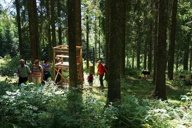 Der Jgersteig in Schluchsee ist nomin...Infos zur Jagd und den Waldbewohnern.   | Foto: honorarfrei