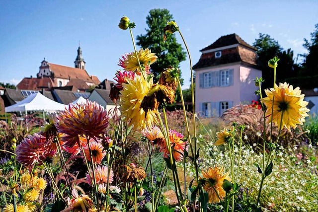 Der Prinzengarten &#8211; hier im Spt... Veranstaltungsort fr die KKW-Abende.  | Foto: Wolfgang Hoffmann