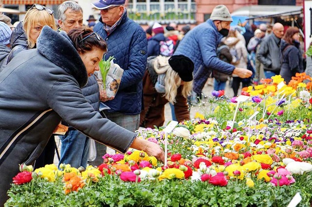 Ein groes Angebot fr den Garten und ...Wochenende in der Endinger Innenstadt.  | Foto: Ruth Seitz