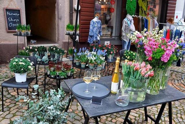 Fotos: Blhendes Staufen bei khlen Temperaturen