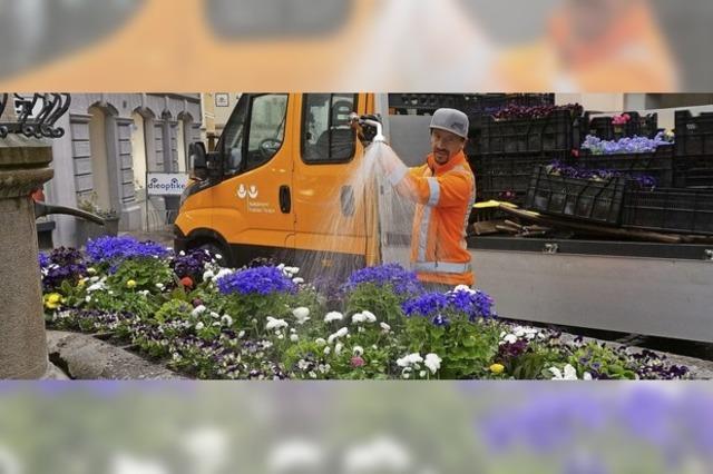 Brunnen werden zum Bltenmeer