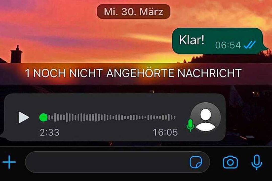 Sprachnachrichten: Liebe oder Hass?  | Foto: Gina Kutkat