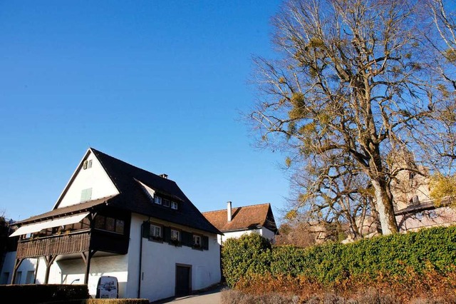 Fr die Burgschenke und den Biergarten werden neue Pchter gesucht.  | Foto: Stadt Lrrach